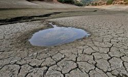 اهمیت مدیریت مصرف آب مجازی در محصولات کشاورزی استان گلستان