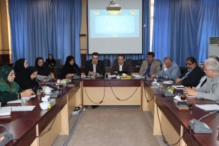 تلاش برای تثبیت آمار خودکشی به معنای پذیرش این آمار است